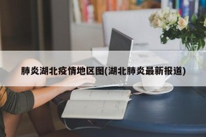 肺炎湖北疫情地区图(湖北肺炎最新报道)