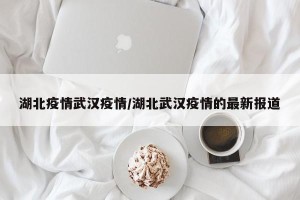 湖北疫情武汉疫情/湖北武汉疫情的最新报道